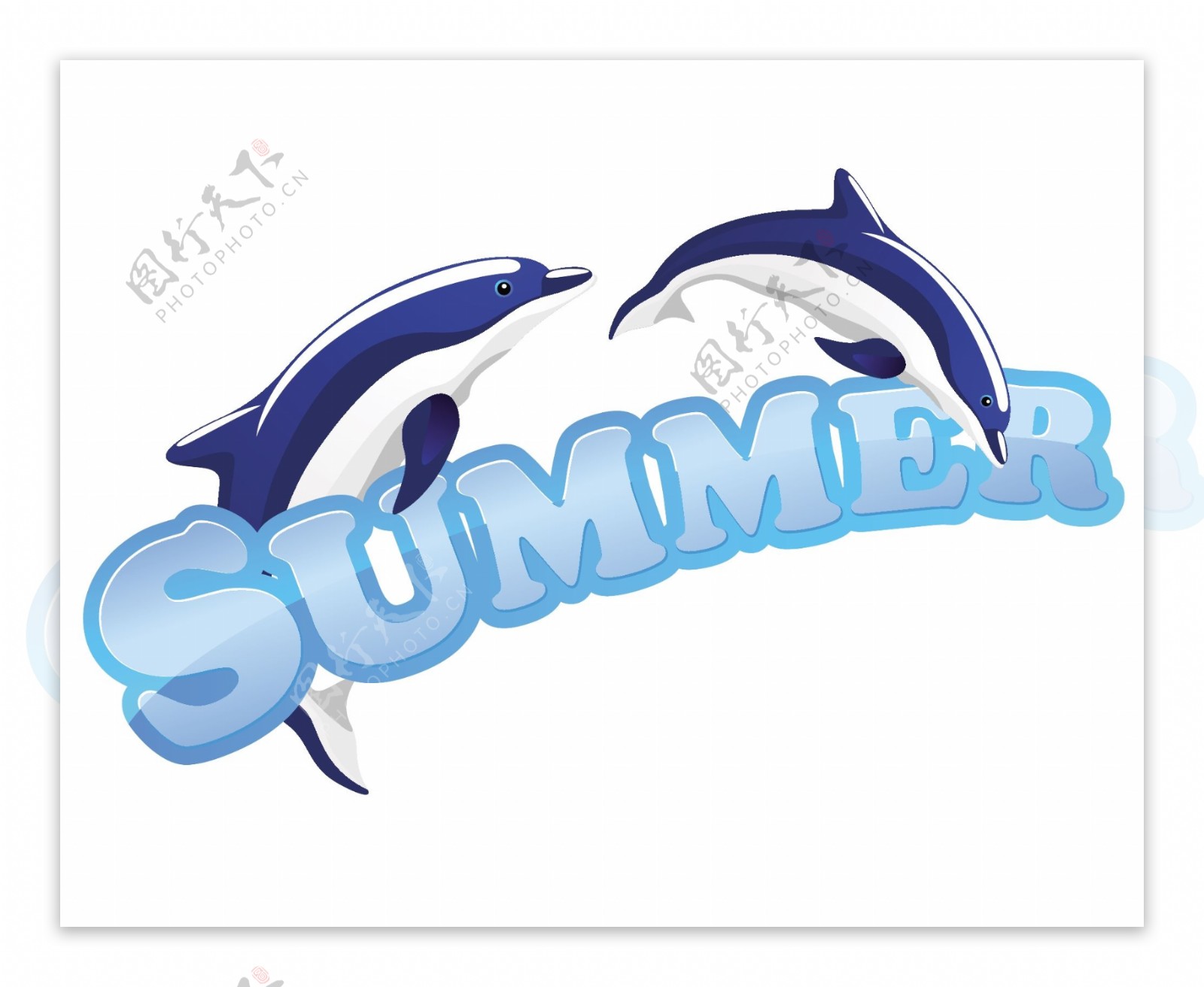 夏季海豚跳跃图片