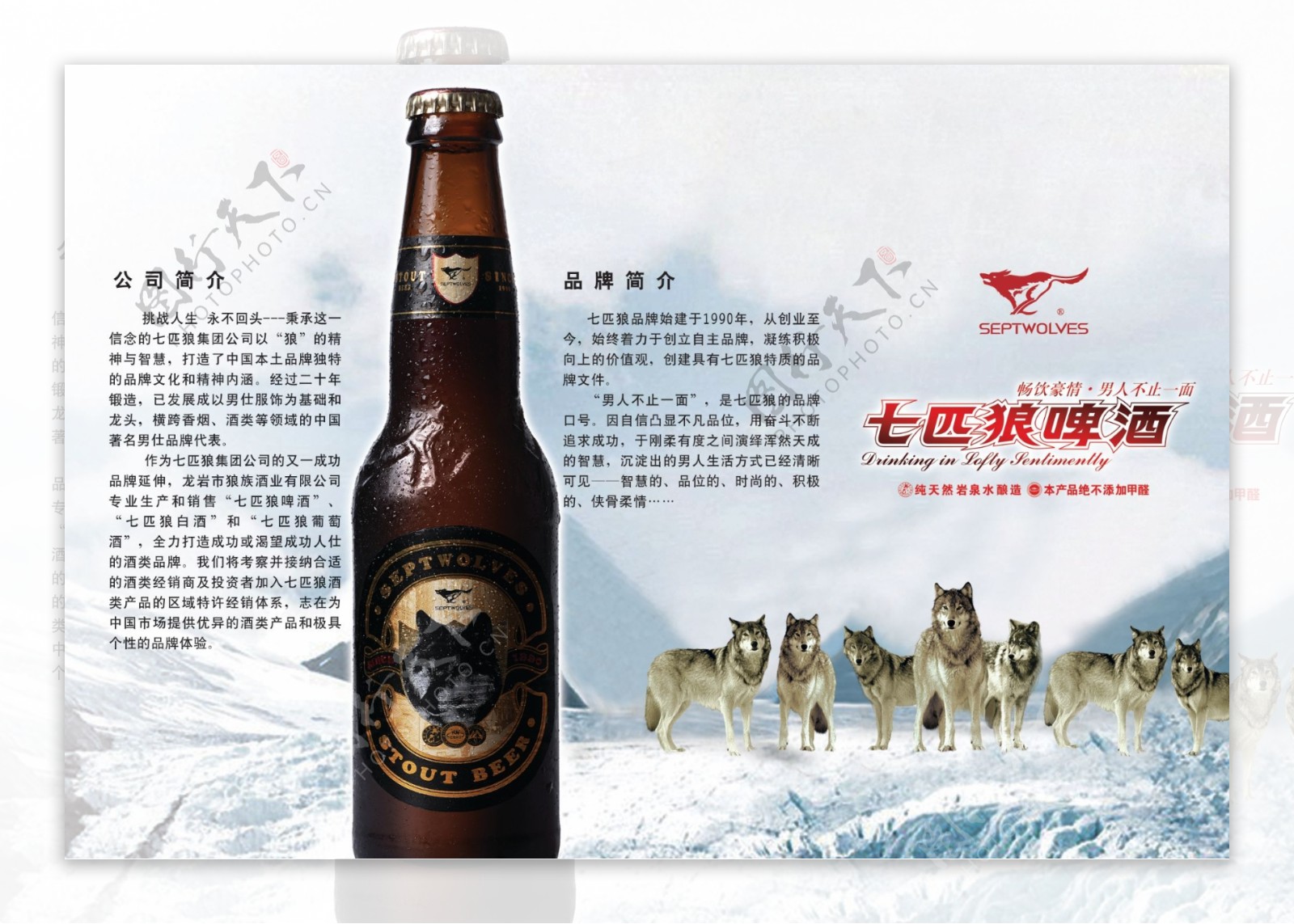 七匹狼啤酒宣传图片