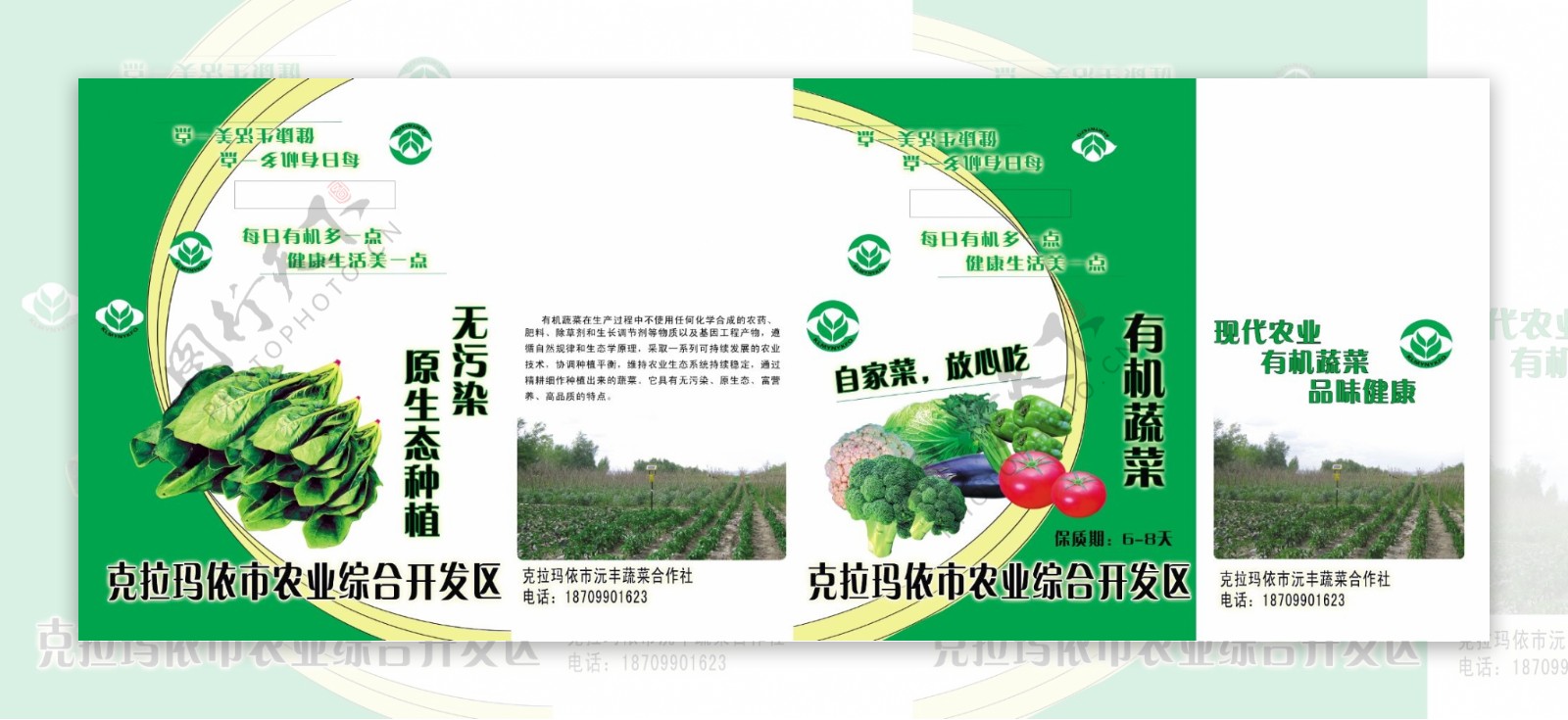 蔬菜纸箱包装图片