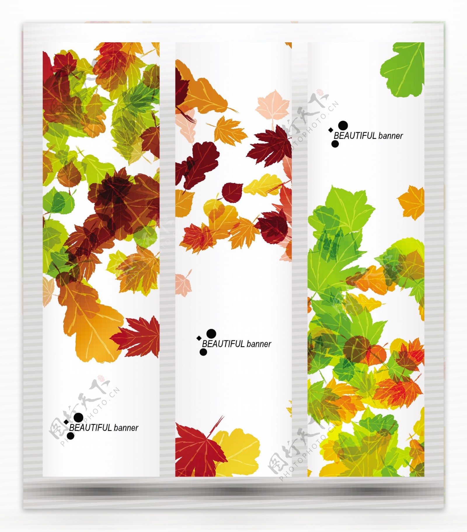 秋天树叶背景展板图片