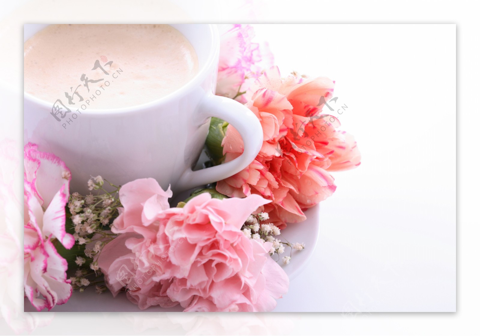 牛奶咖啡康乃馨图片