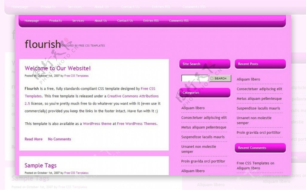 紫红色简单BLOG网页模板