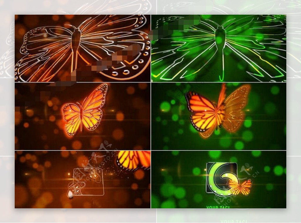 梦幻的线条勾勒蝴蝶logo揭示AE模板