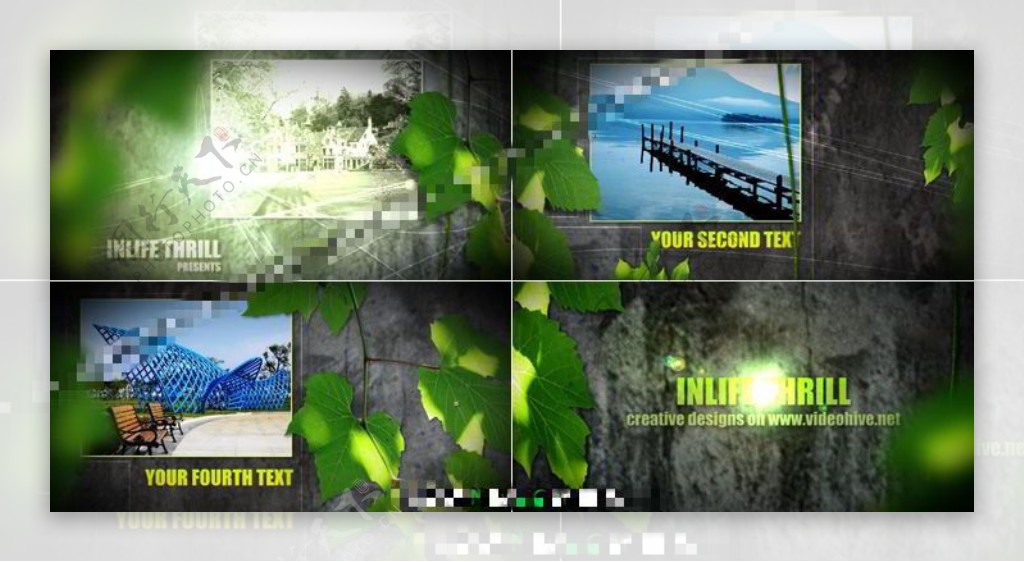 绿叶掩盖中的墙壁照片AE展示模板