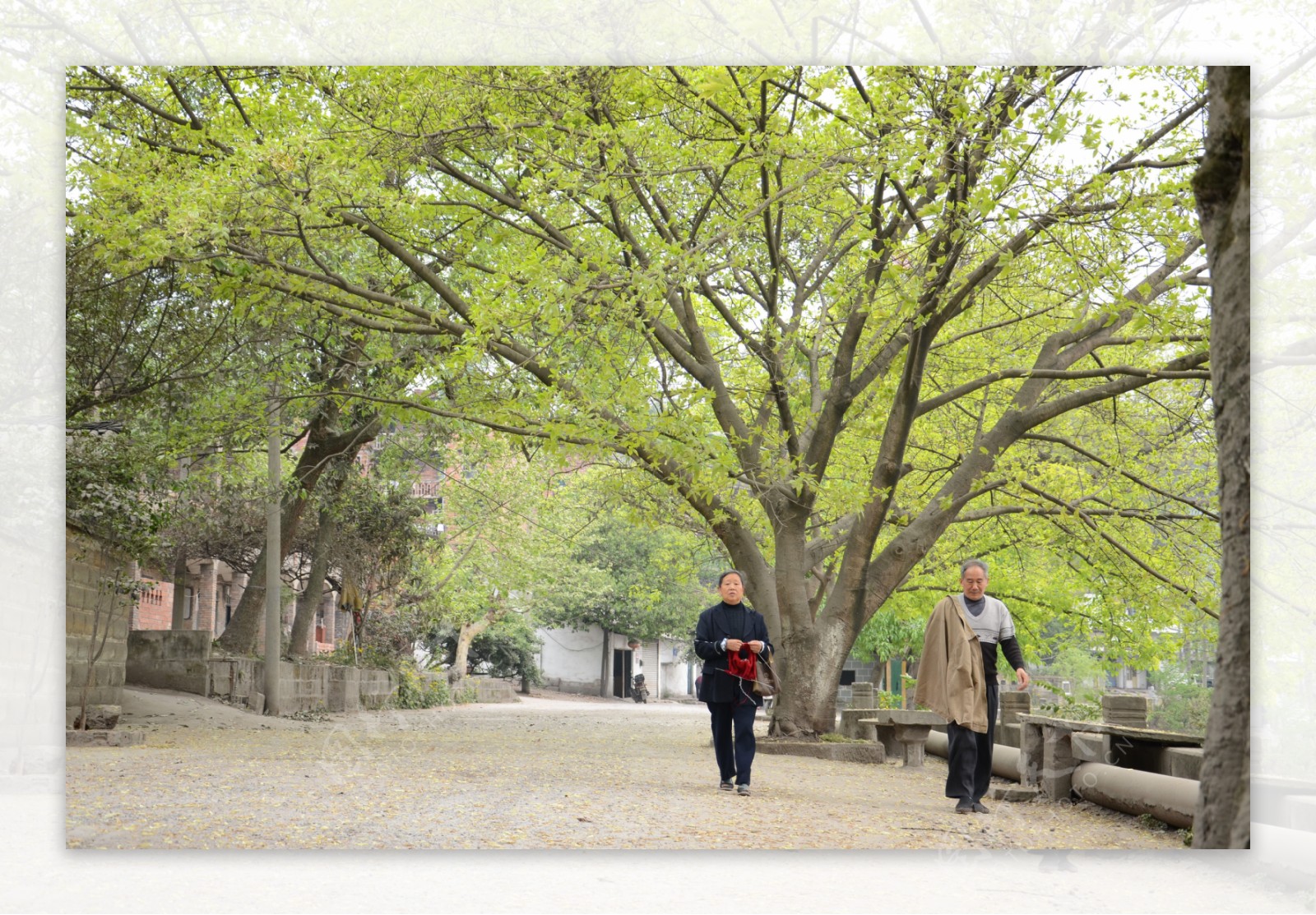 城市街道图片