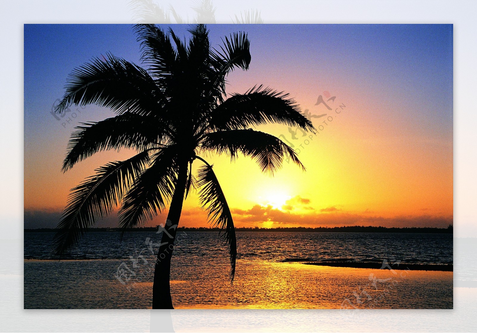 大海蓝天太阳海岛海滩椰树