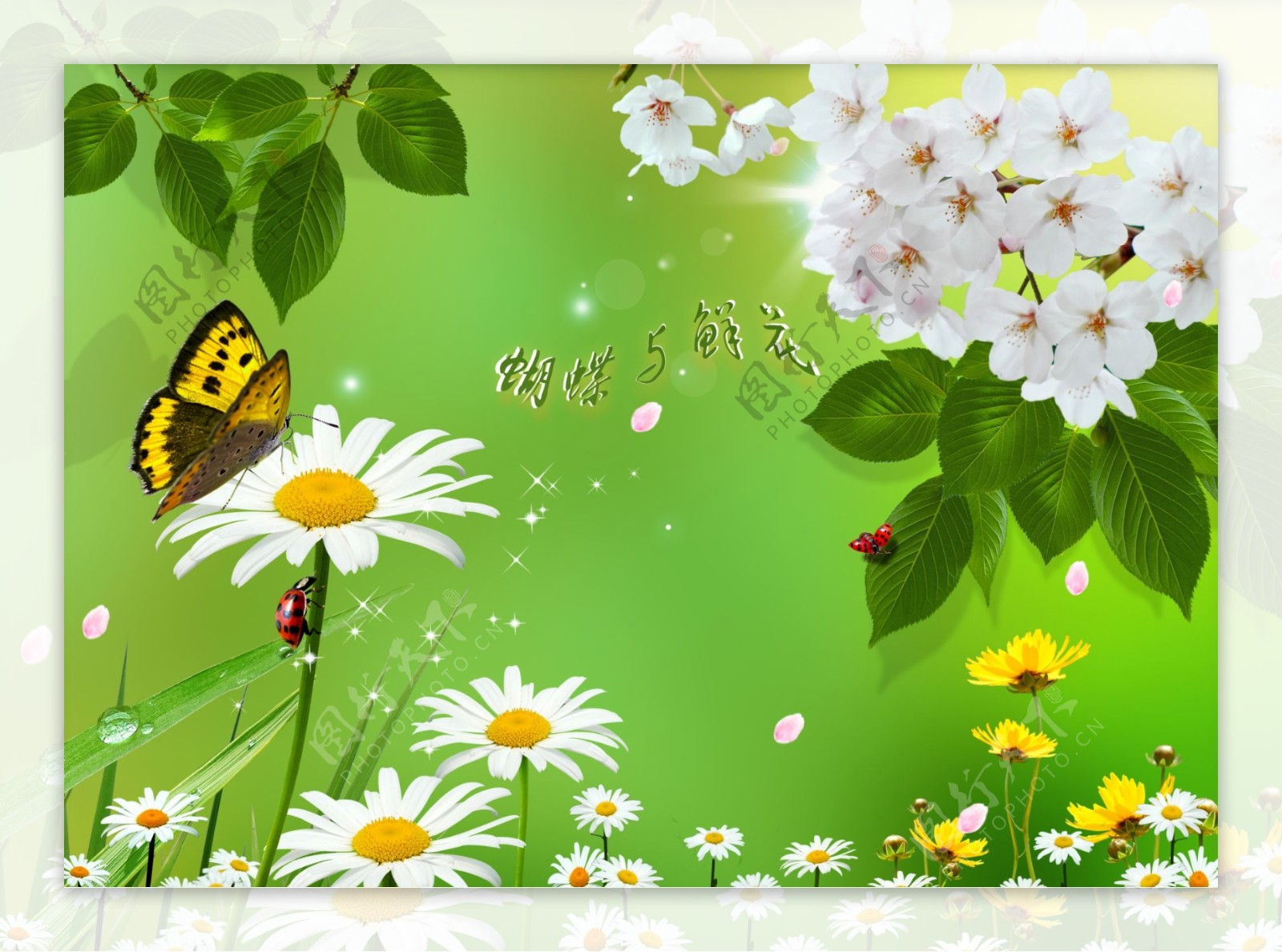 蝴蝶与花背景素材