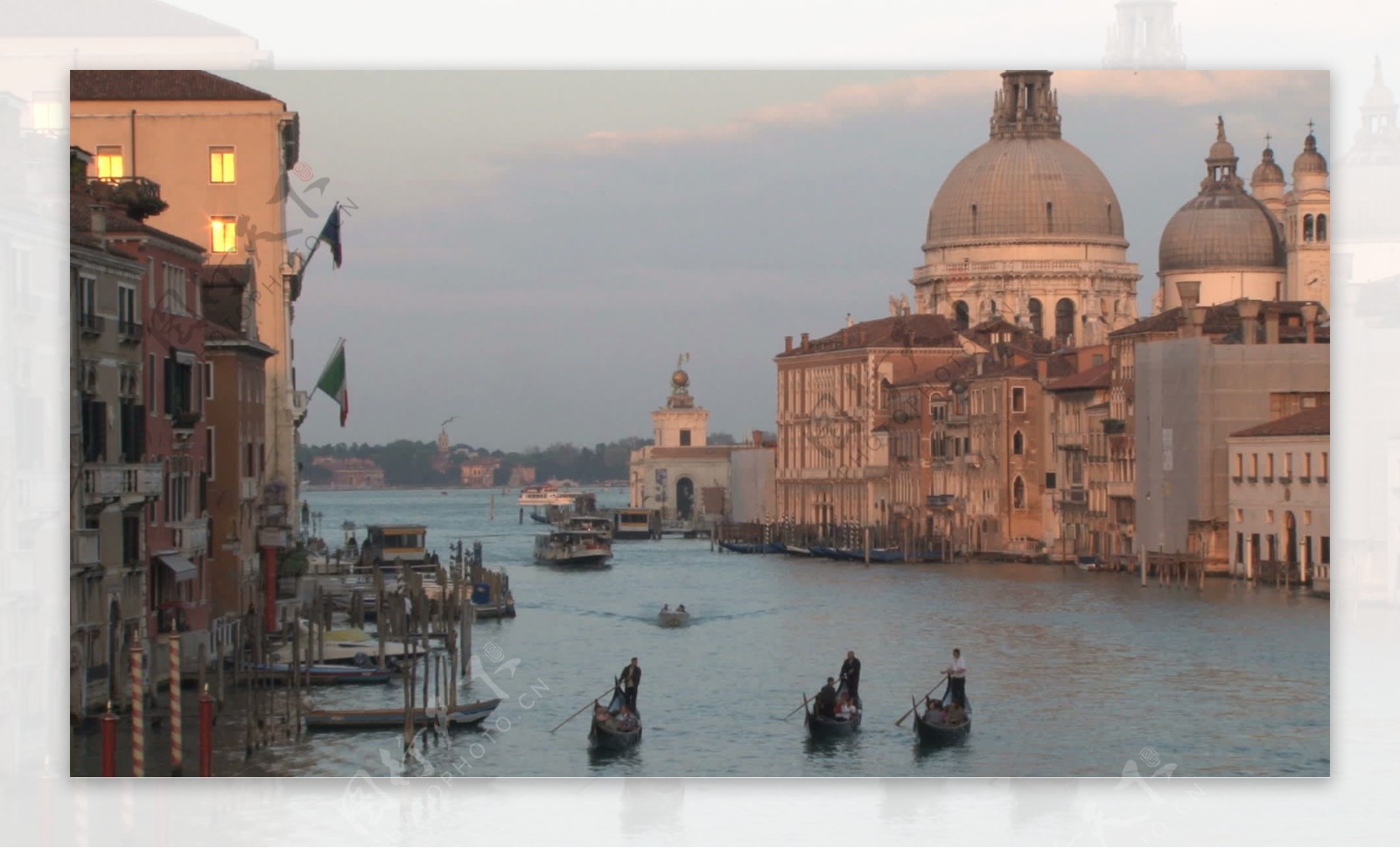 威尼斯5的股票的录像视频免费下载