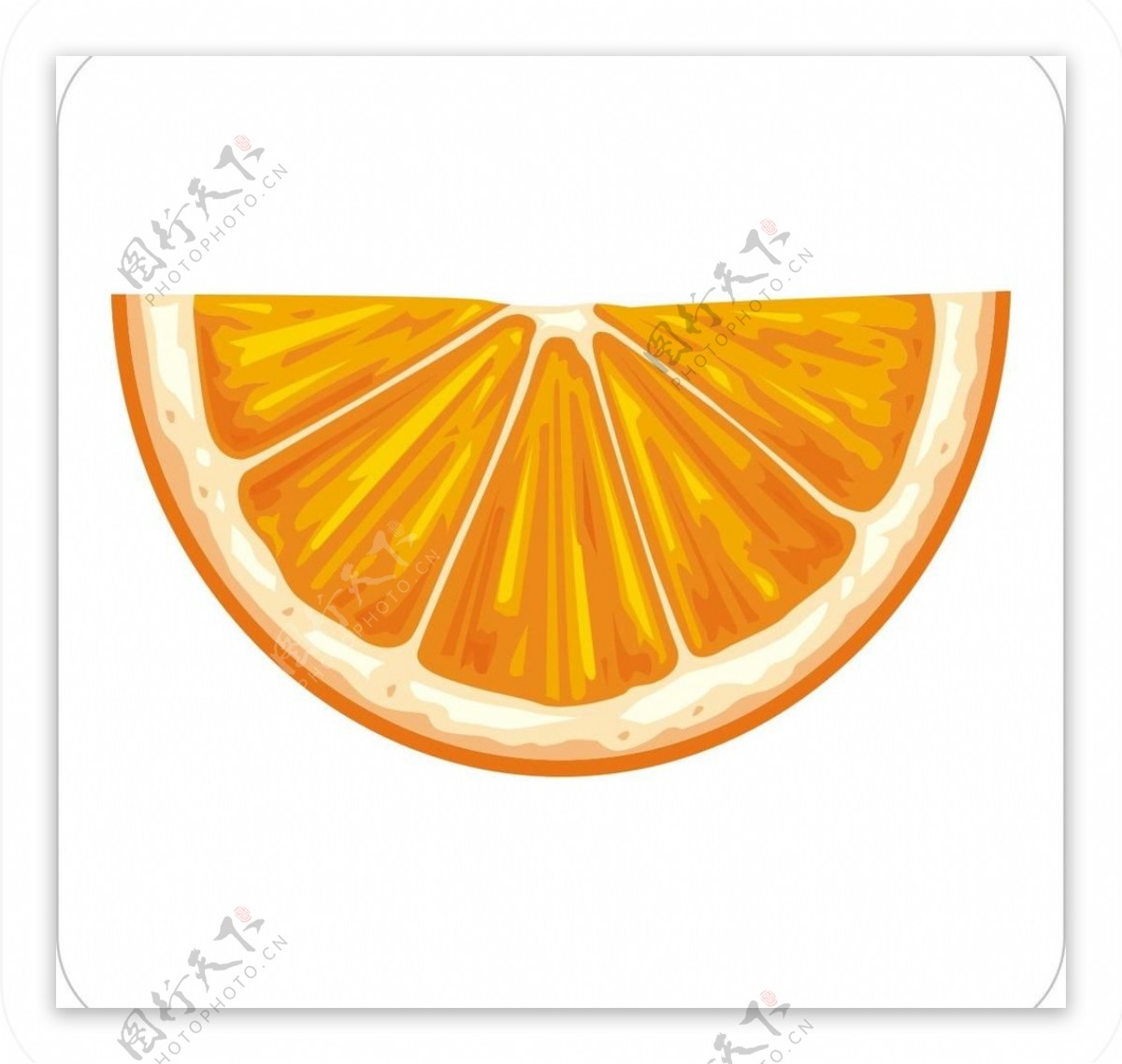 香橙片图片