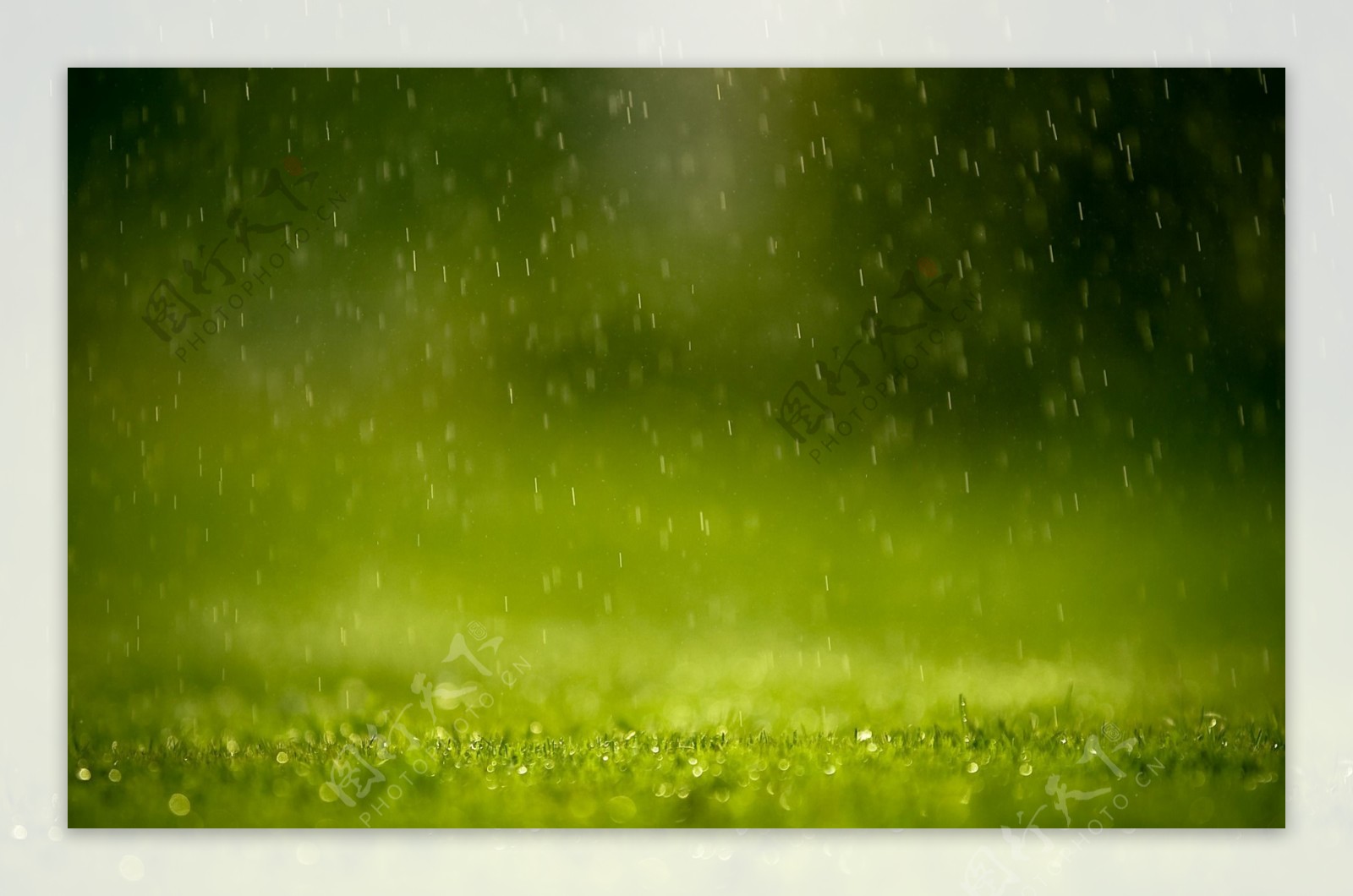 下雨雨滴绿色背景高清图片素材下载