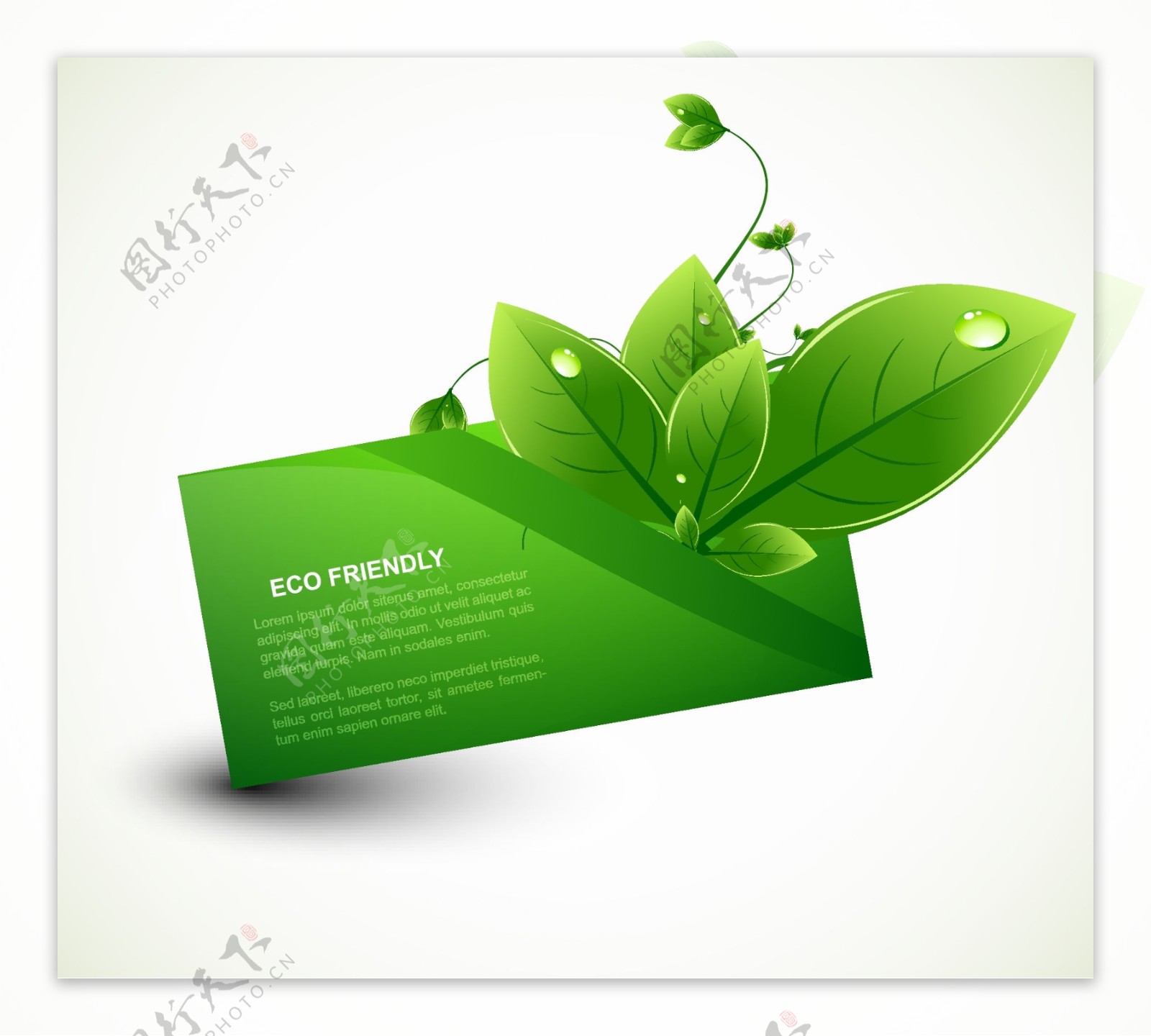 绿叶水珠水滴环保卡片图片
