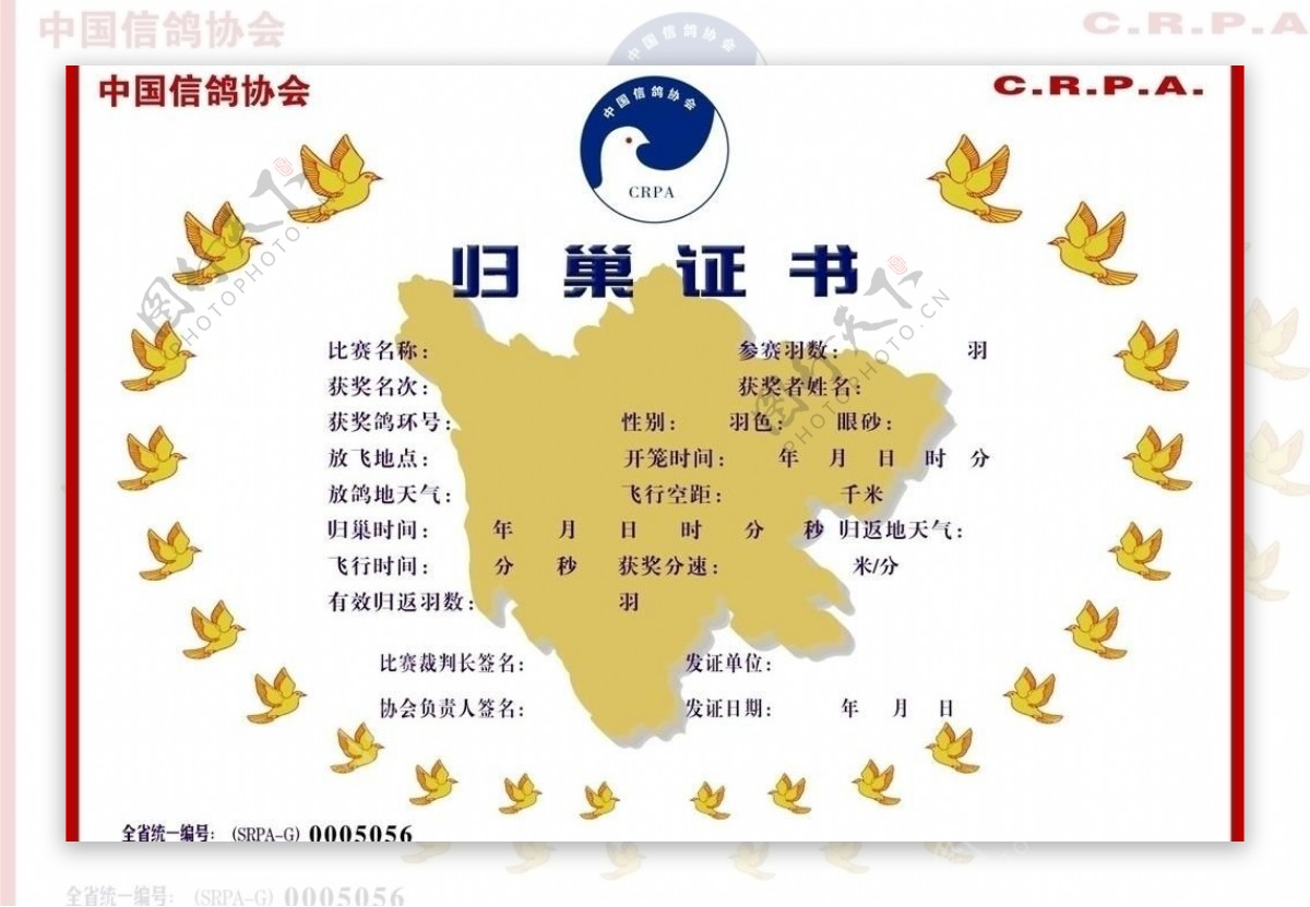 中国信鸽协会归巢证书