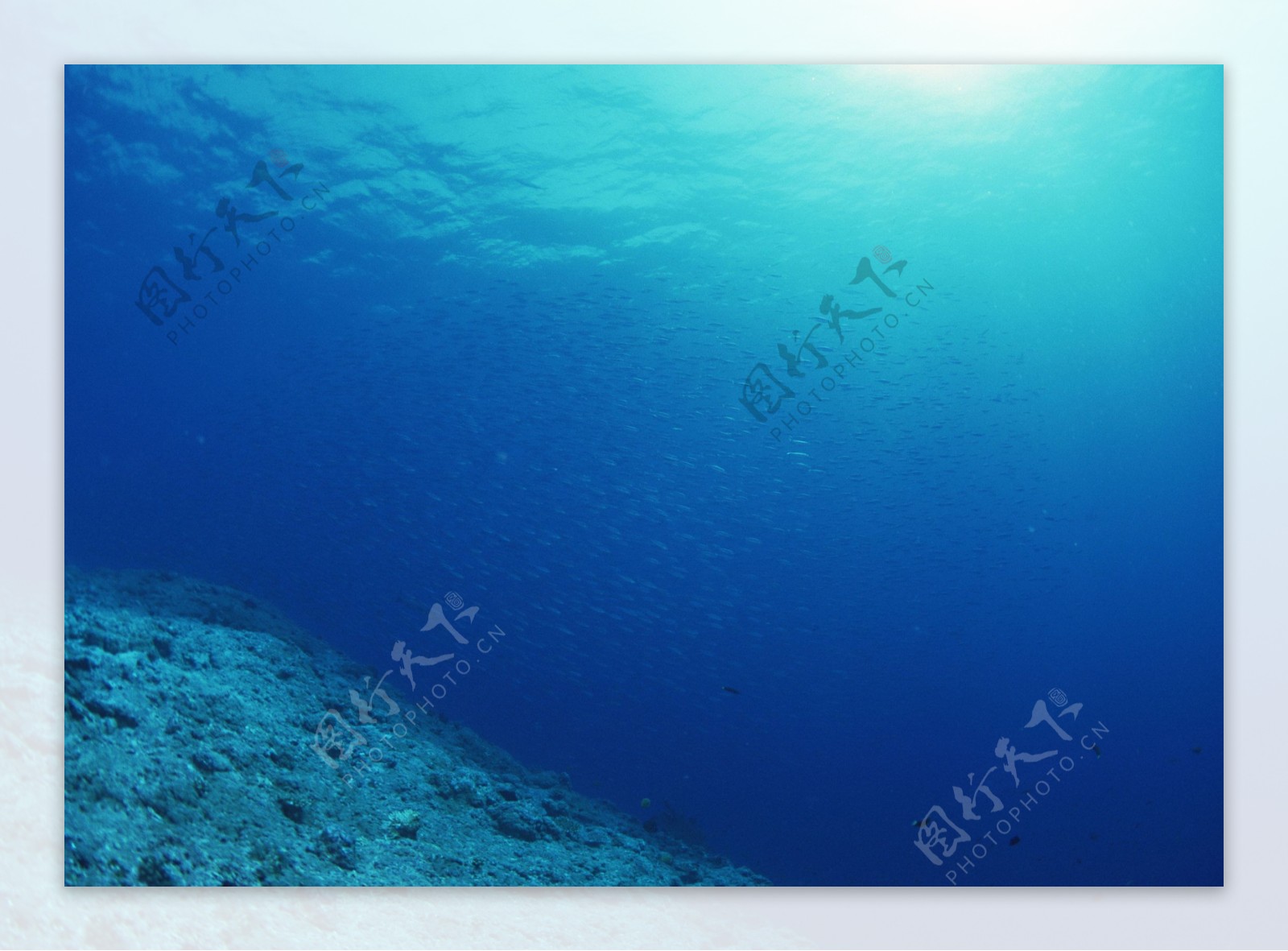 海底深海桌面背景图片