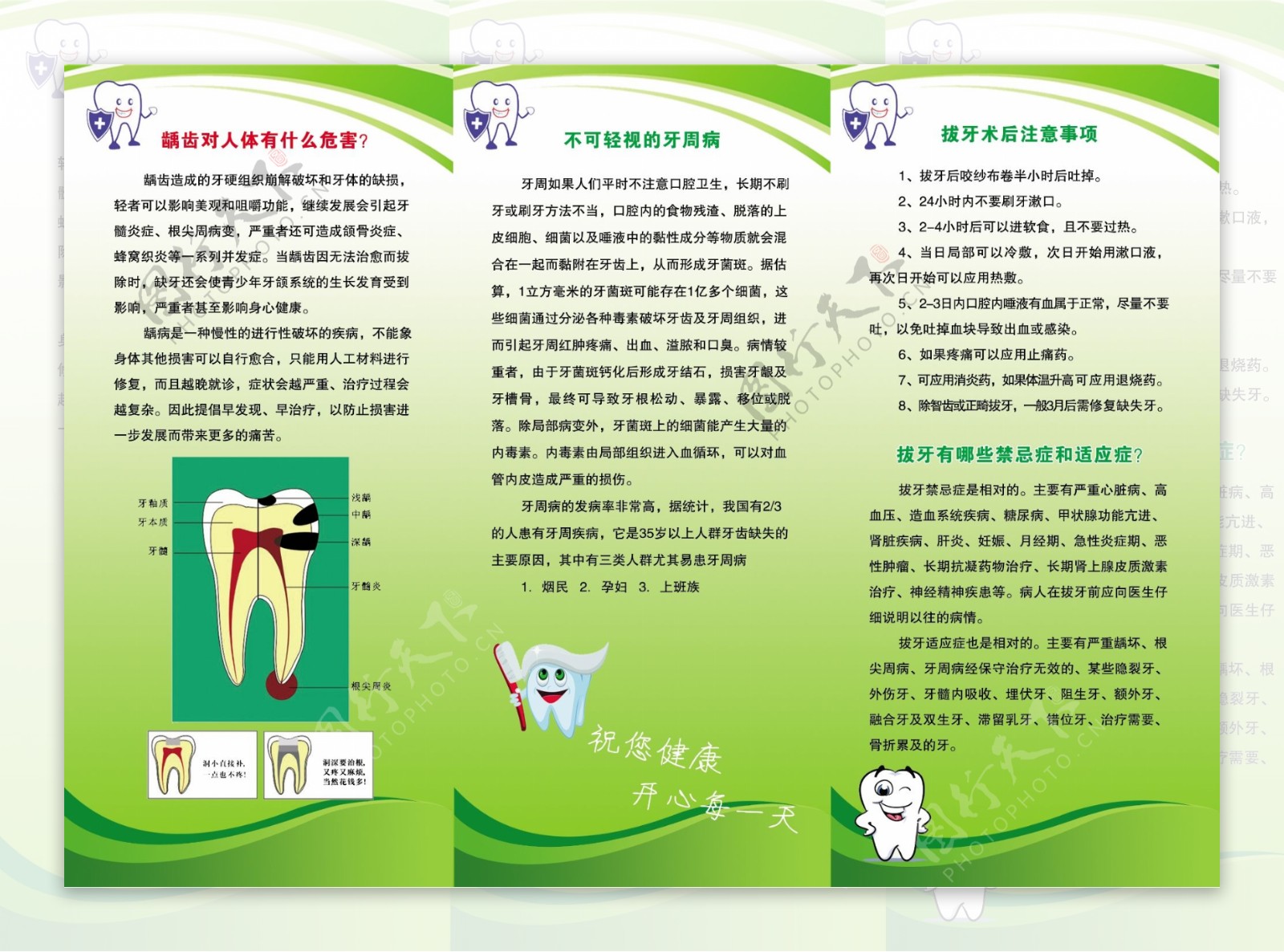 牙齿健康宣传折页图片