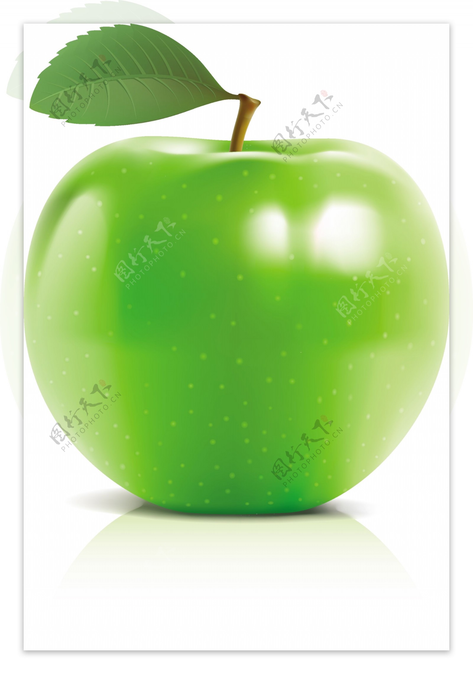 绿苹果矢量图片