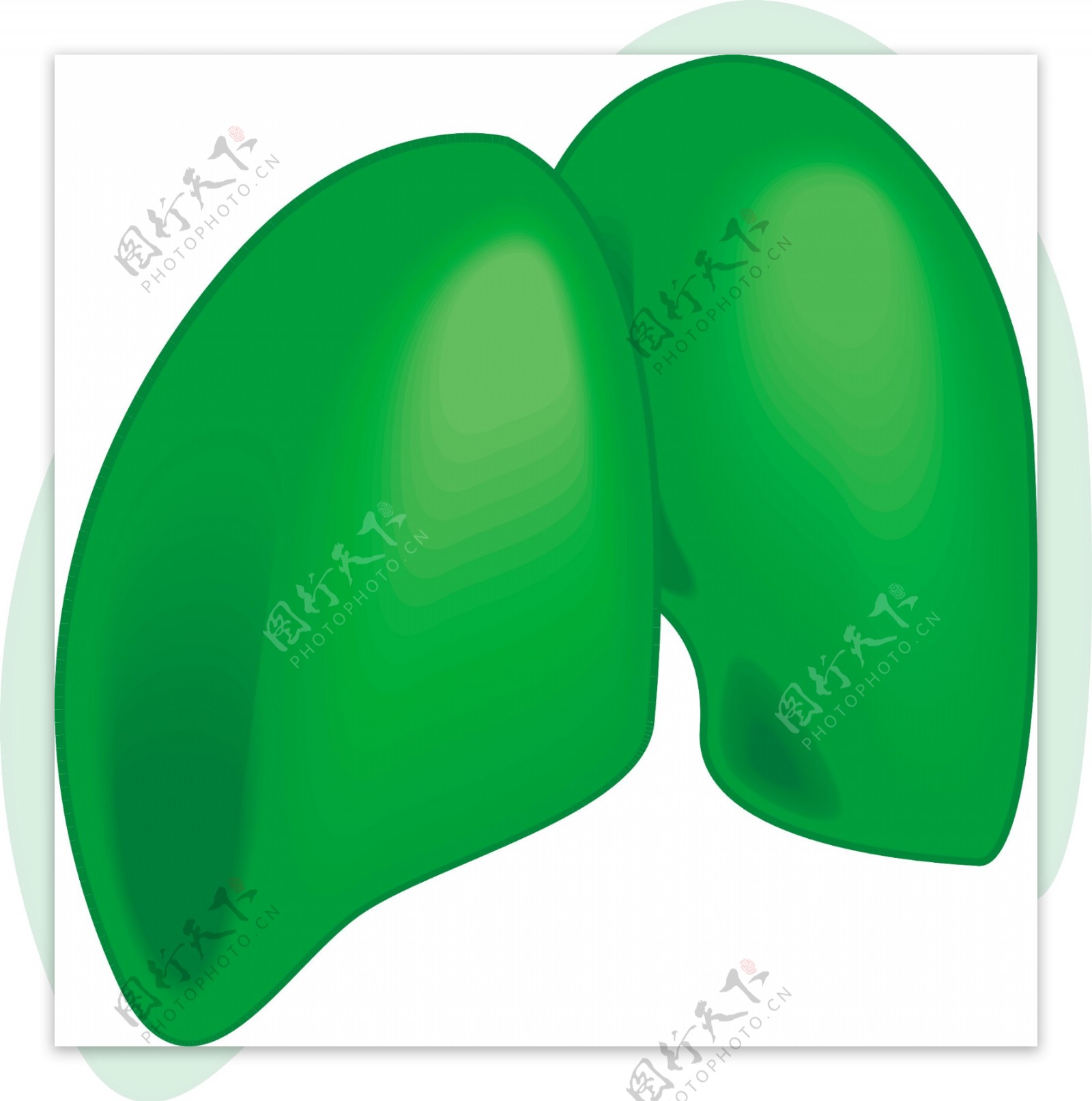 绿色肺模型矢量图AI