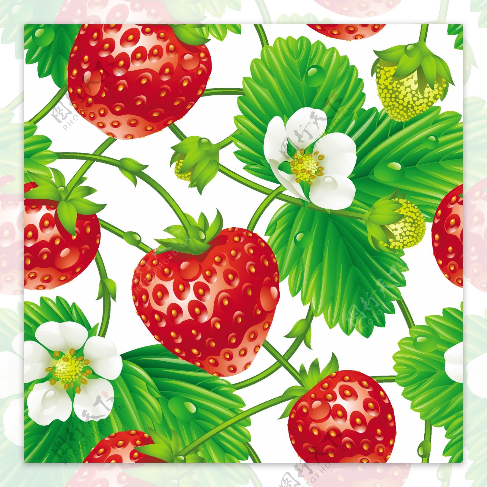 新鲜的草莓和草莓花矢量素材