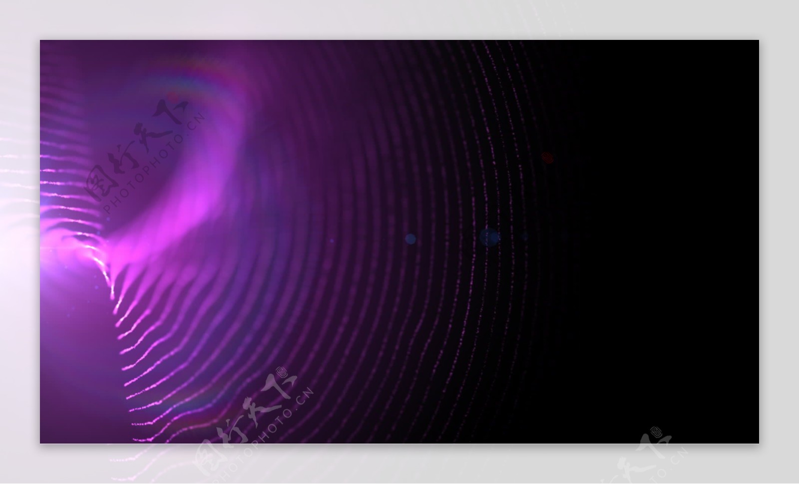 紫色的脊线运动背景视频免费下载