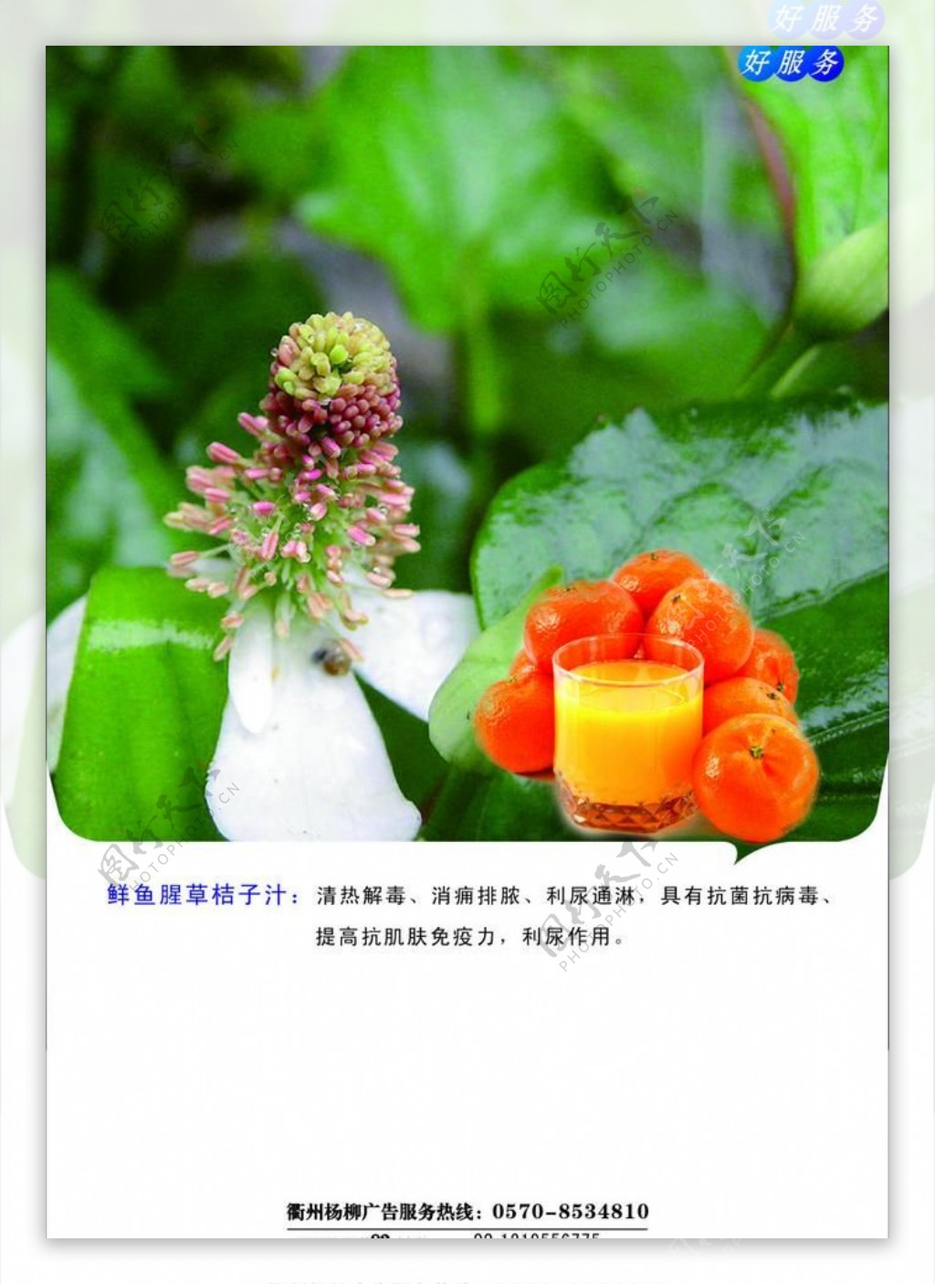 黄秋葵桔子汁图片