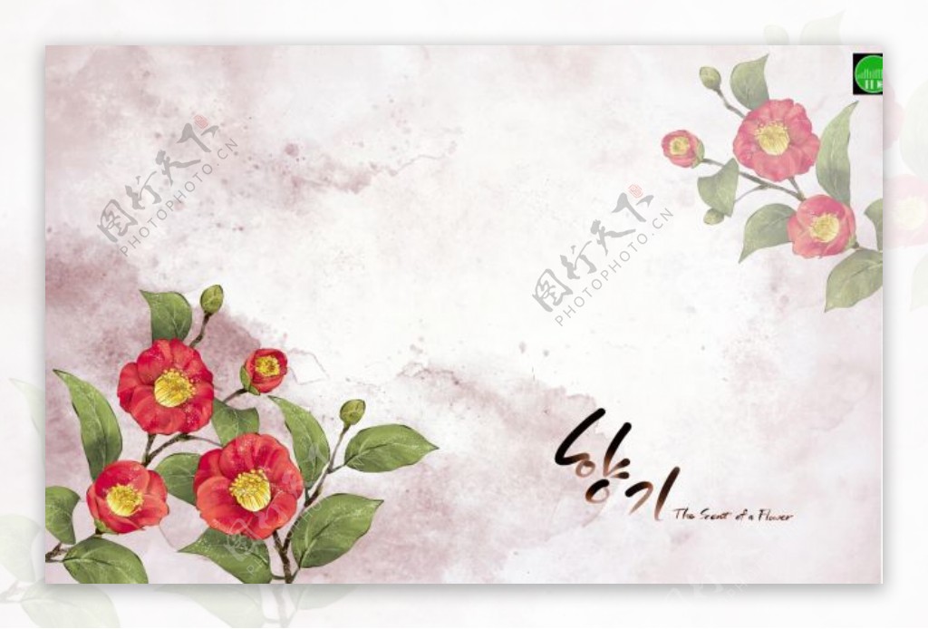 韩式水彩花卉设计元素1