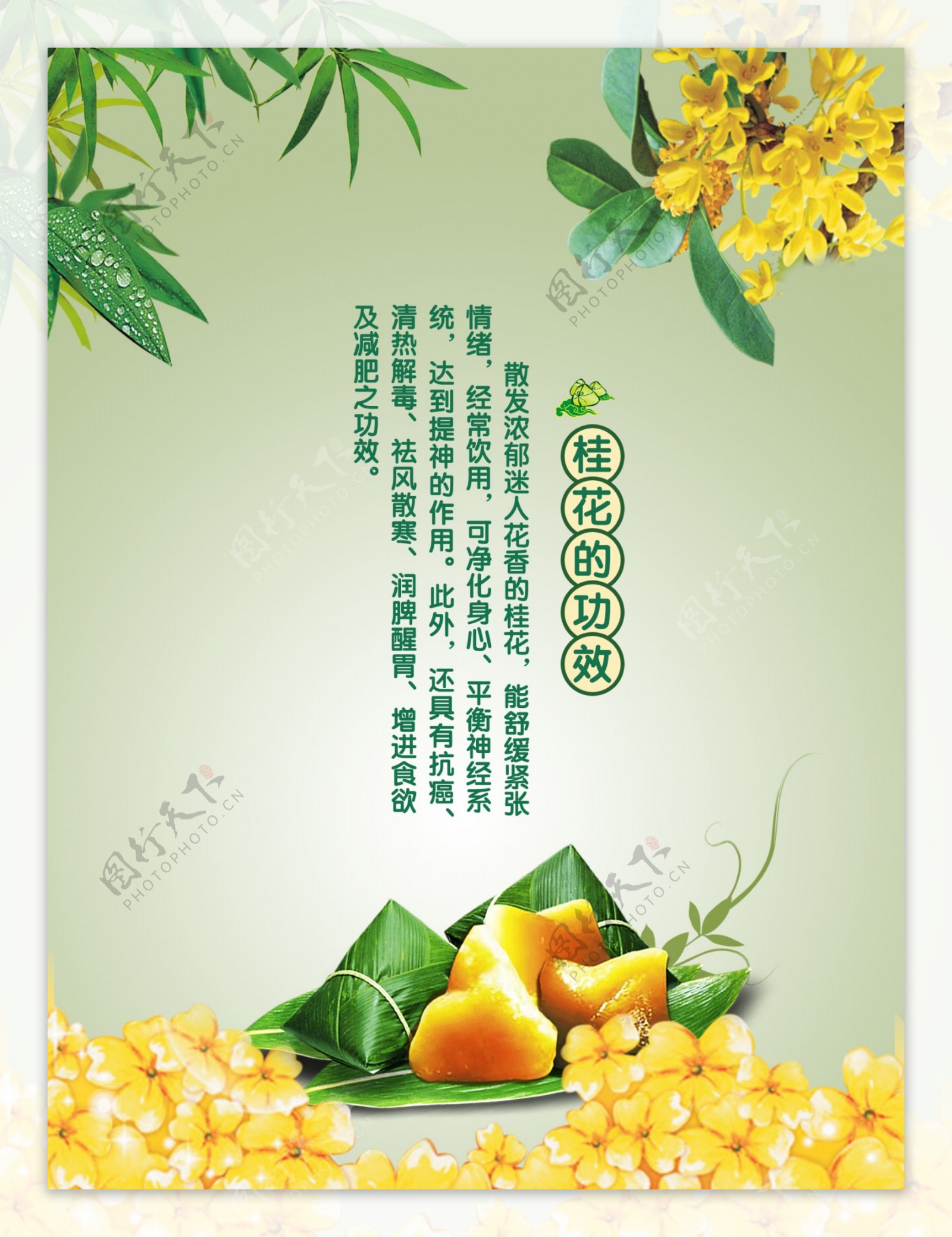 桂花粽海报图片