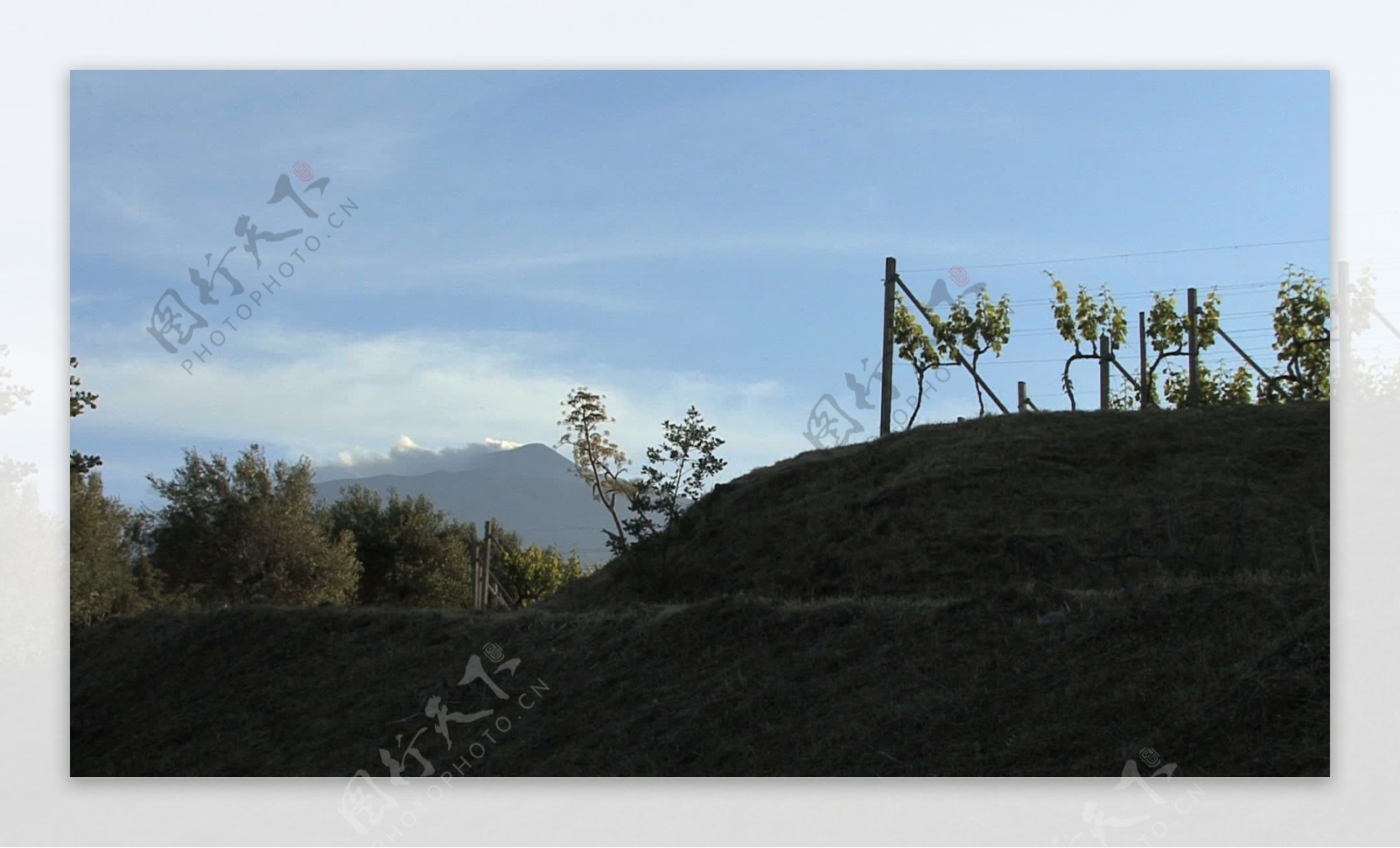 西西里岛的葡萄园与埃特纳火山4股票的录像视频免费下载