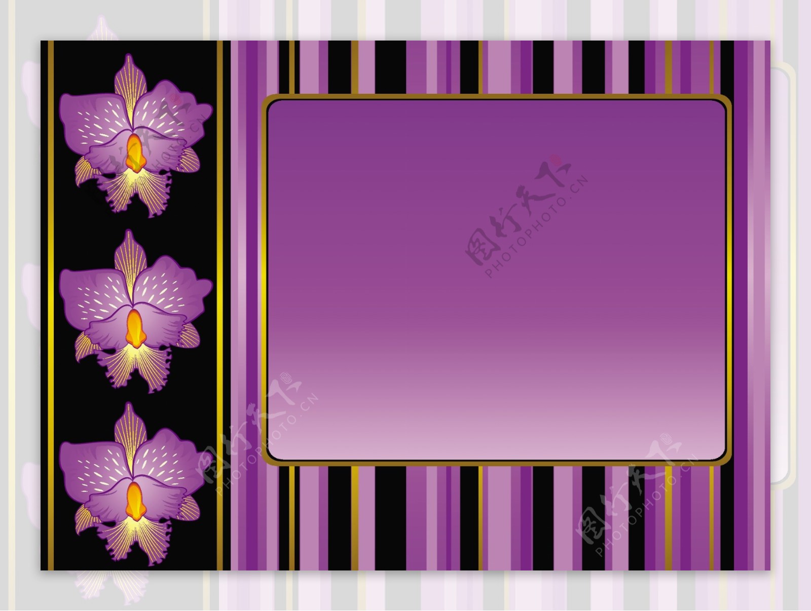 矢量紫色花朵装饰相框素材