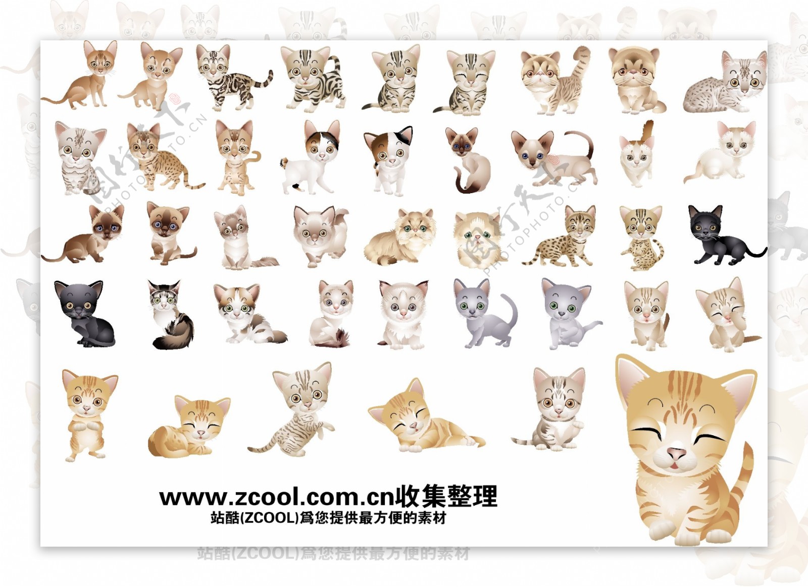 40版本的各种可爱的小猫咪矢量素材