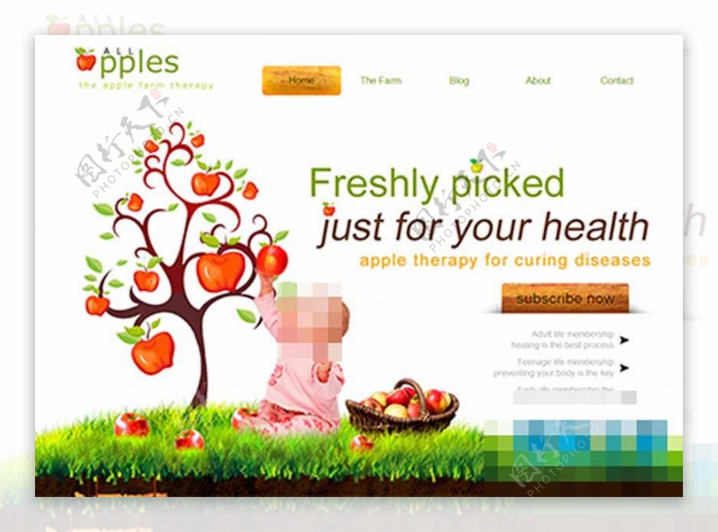 婴儿树儿童健康食品整站模板