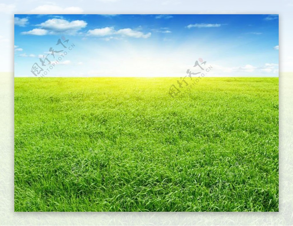 亮丽的草原背景图PPT