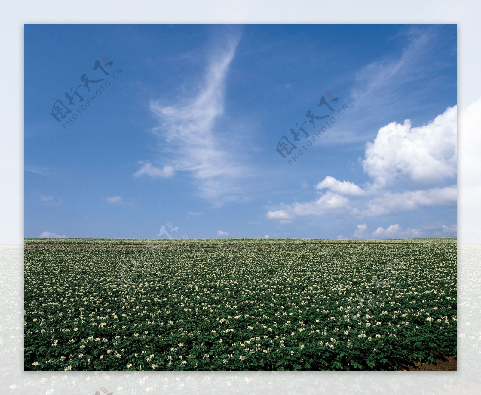 陆地旷野户外平原田园田野天空大自然树木绿意风光风景广告素材大辞典