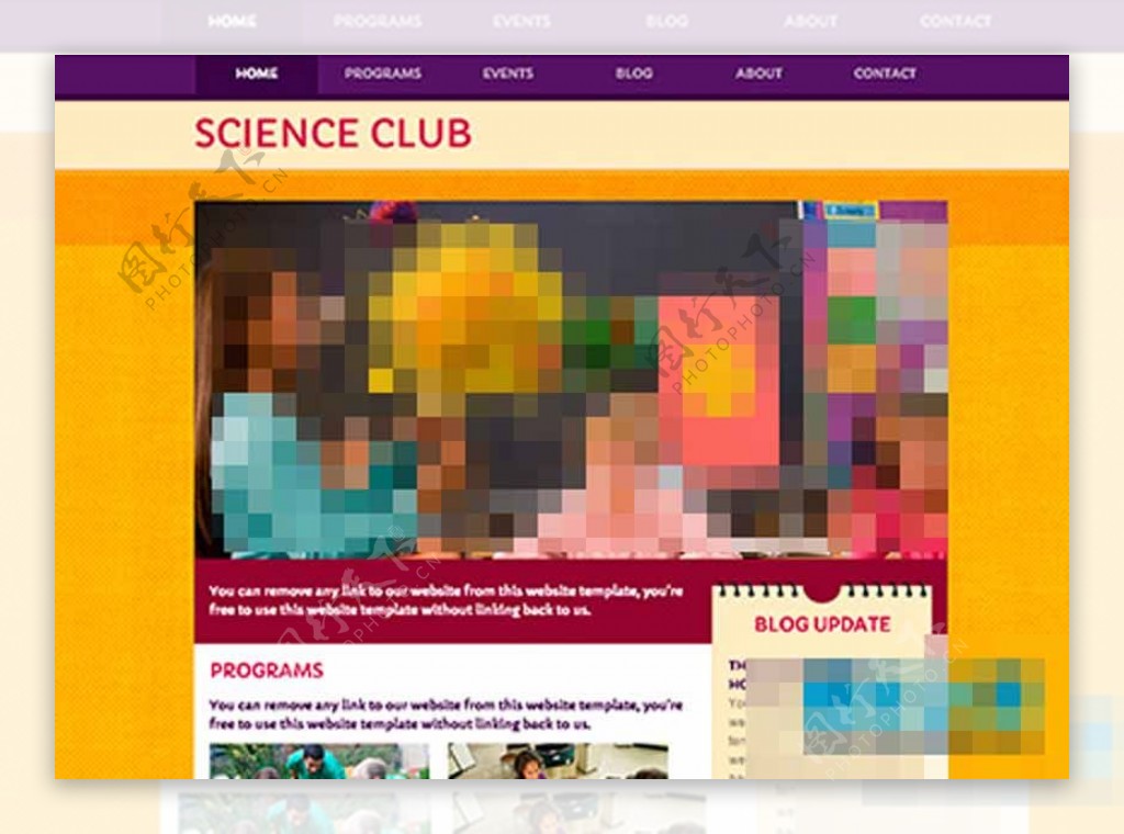 紫色导航纯静的学校教育网站模板