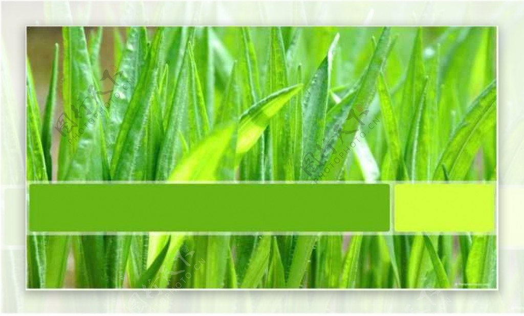 高清绿色植物背景活力呈献绿色PPT模板