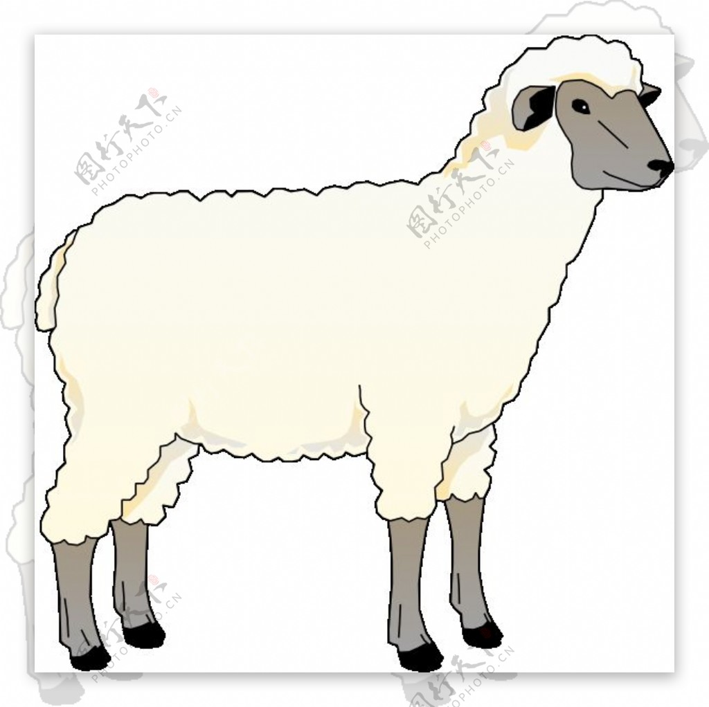 羊母羊剪贴画