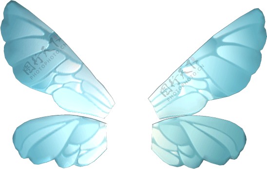 蝴蝶翅图片