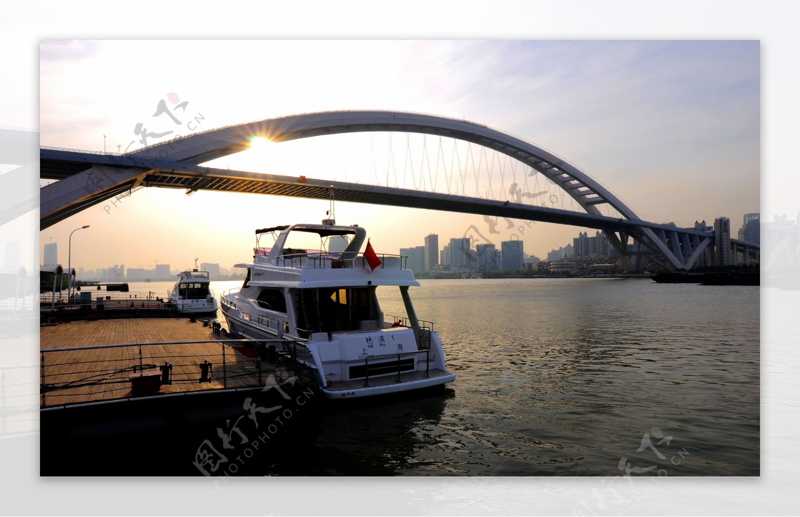 卢浦大桥游艇图片