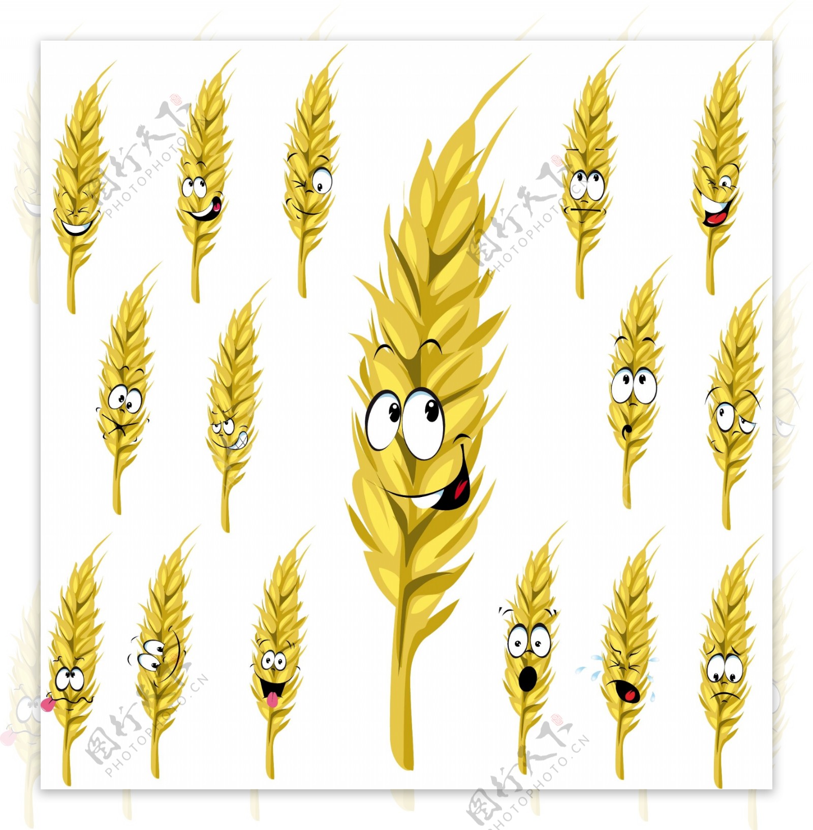 小麦创意矢量