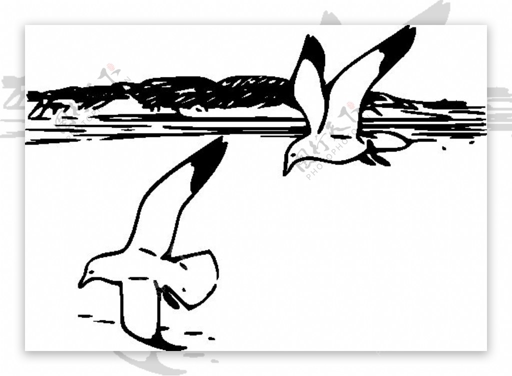 飞翔的海鸥剪贴画