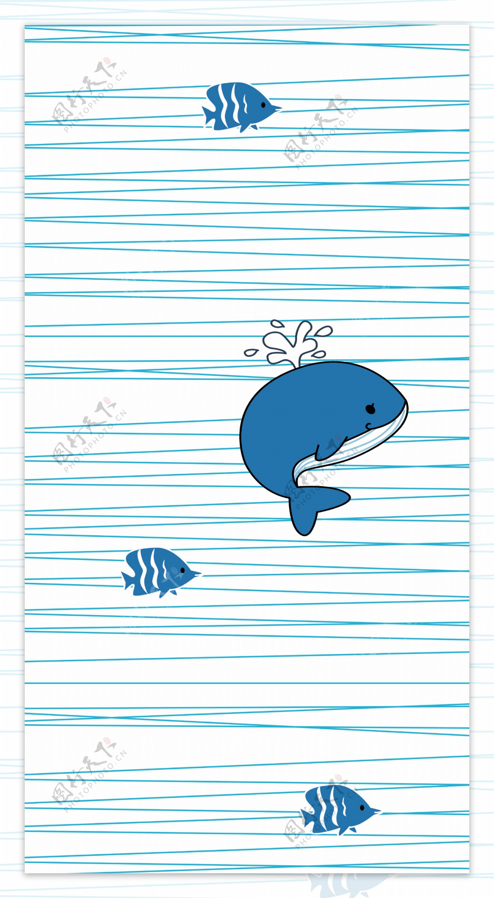 小鱼海豚