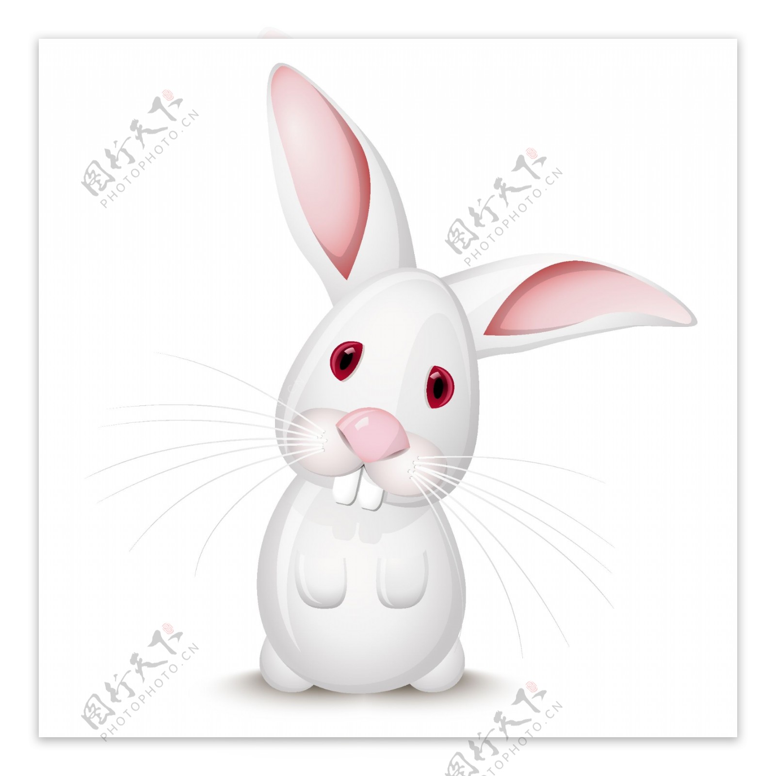 小灰兔与小白兔矢量素材