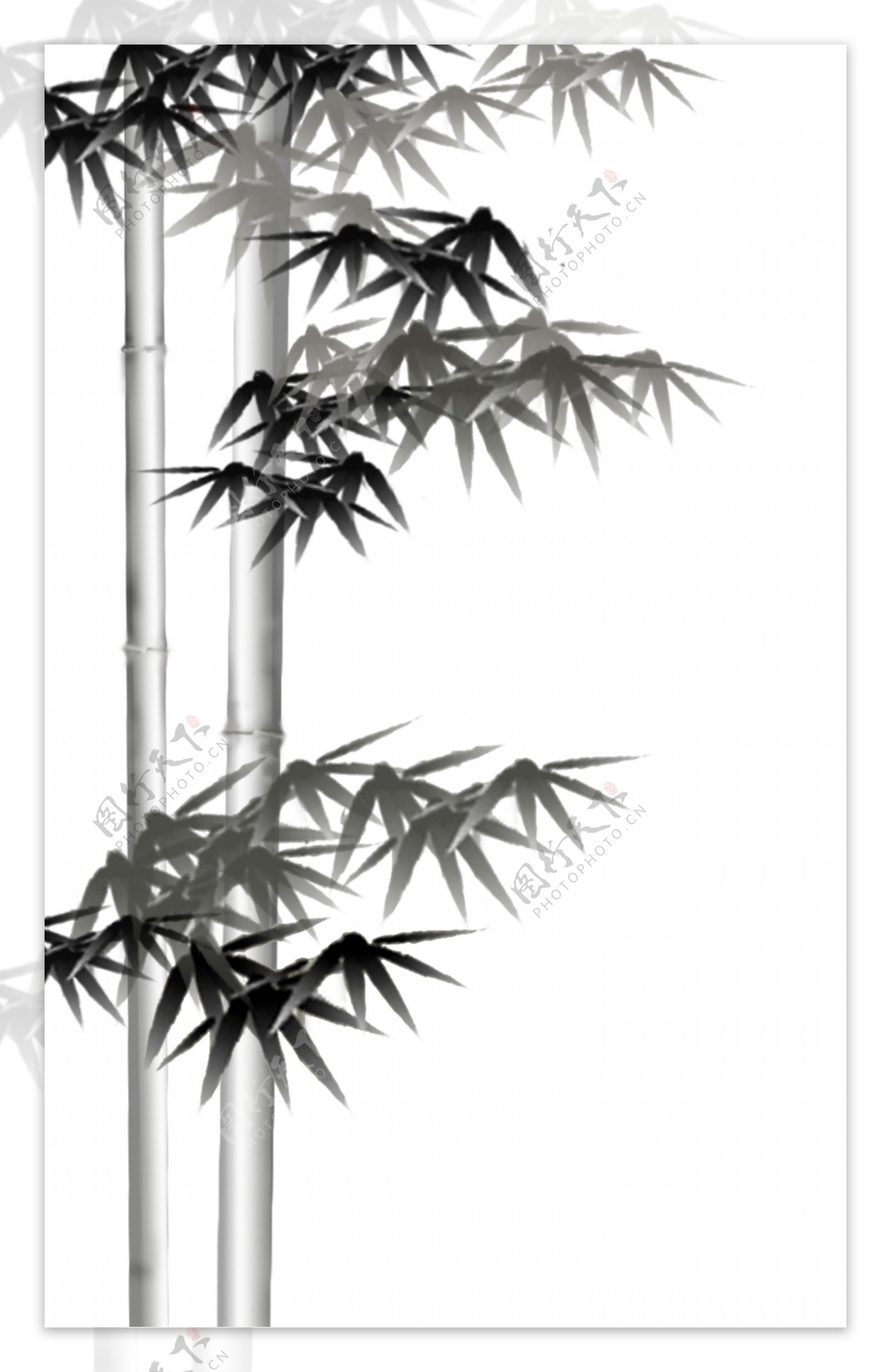 竹节节高升图片