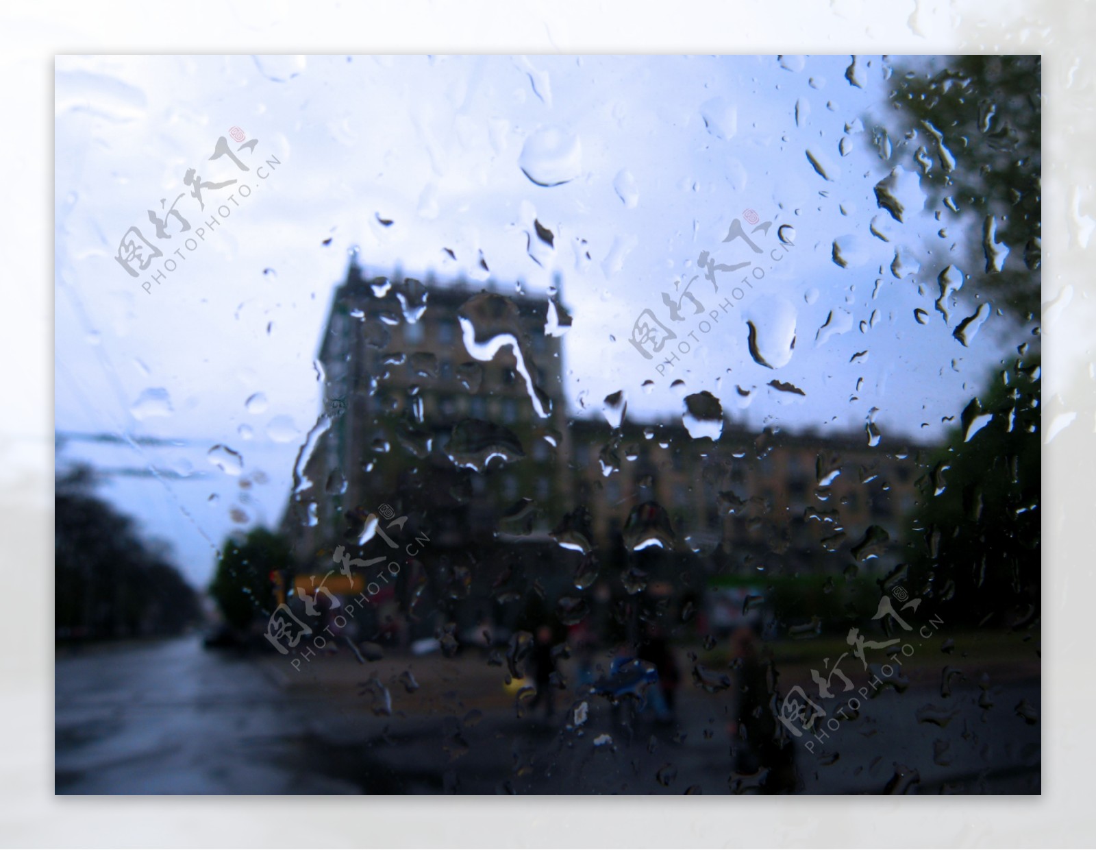 雨中水滴图片