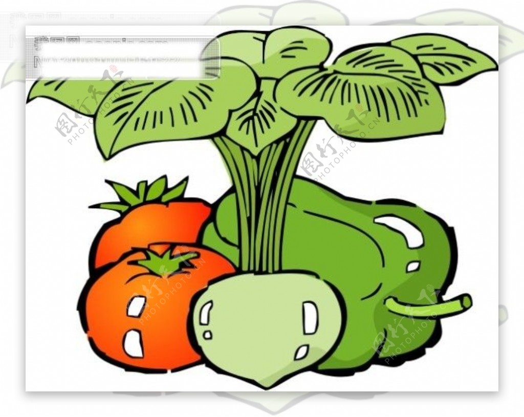 蔬菜矢量图2