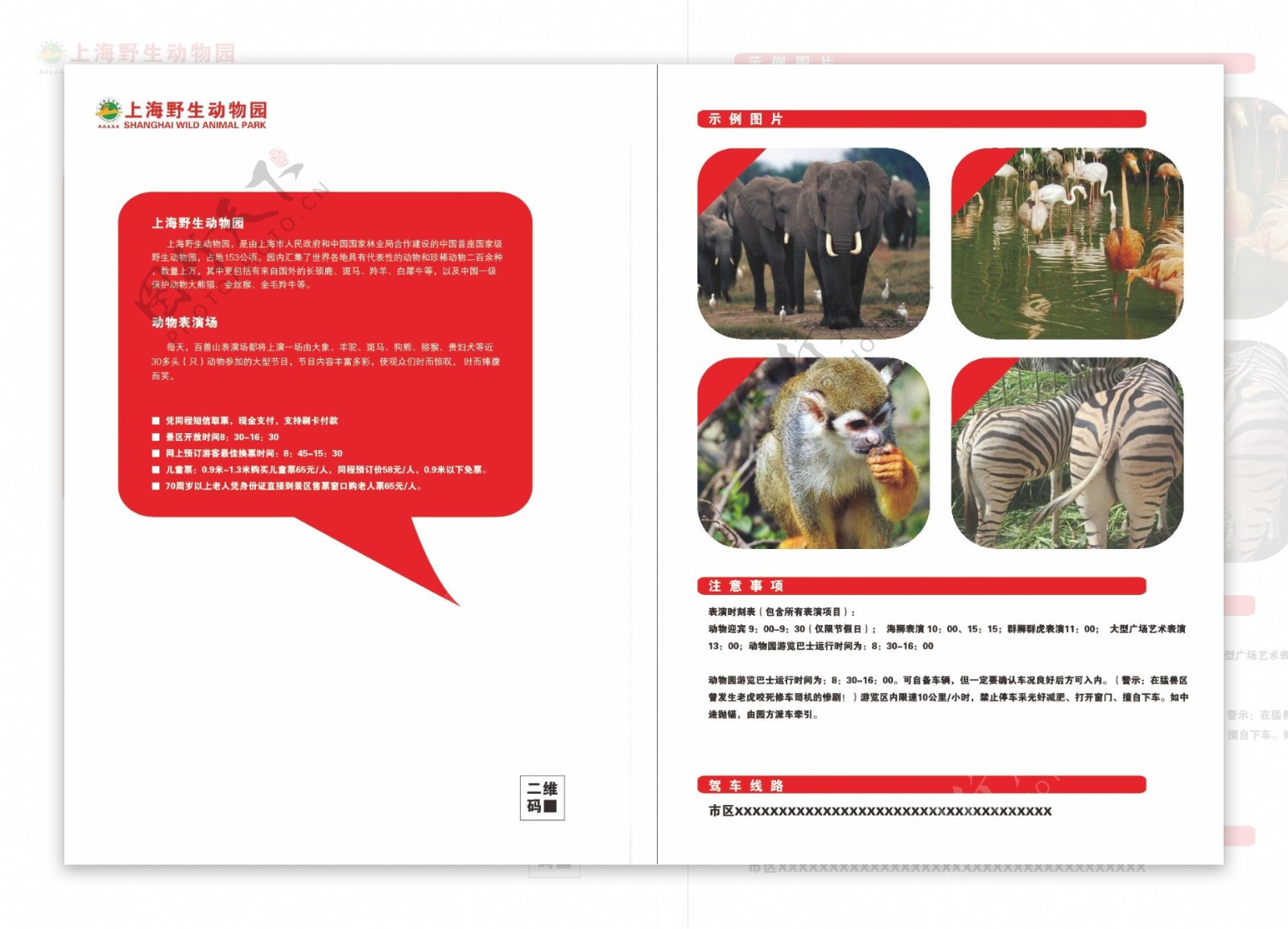 上海野生动物园单页