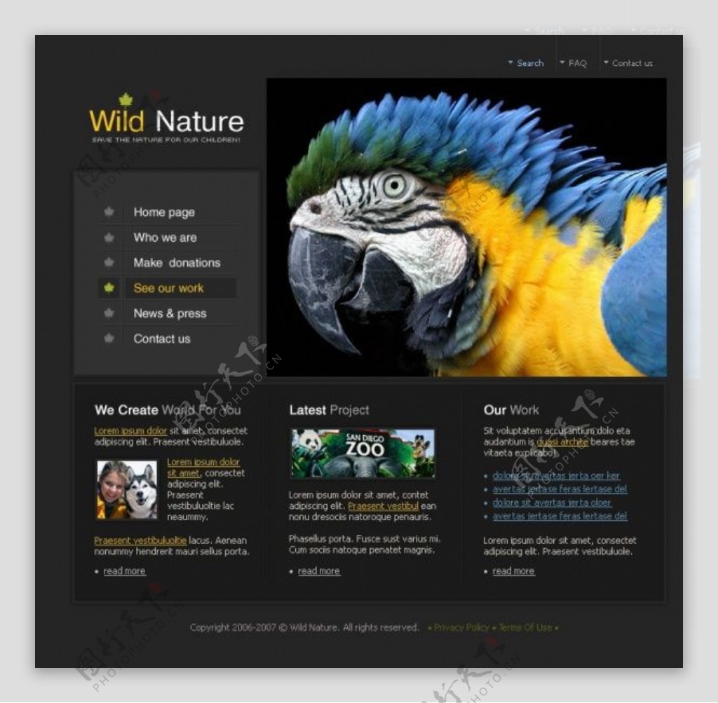野生动物园网站设计PSD分层