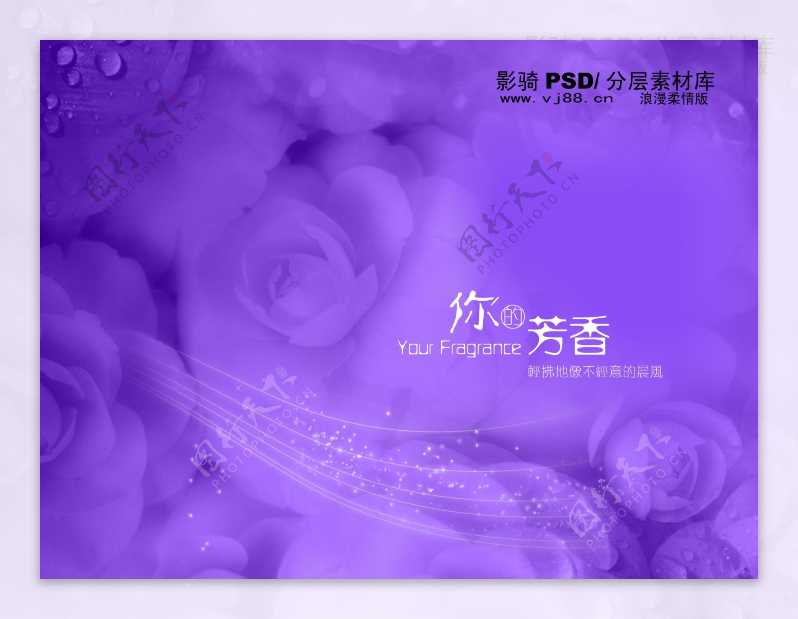 psd分层源文件浪漫柔情版紫色浪漫花香花朵