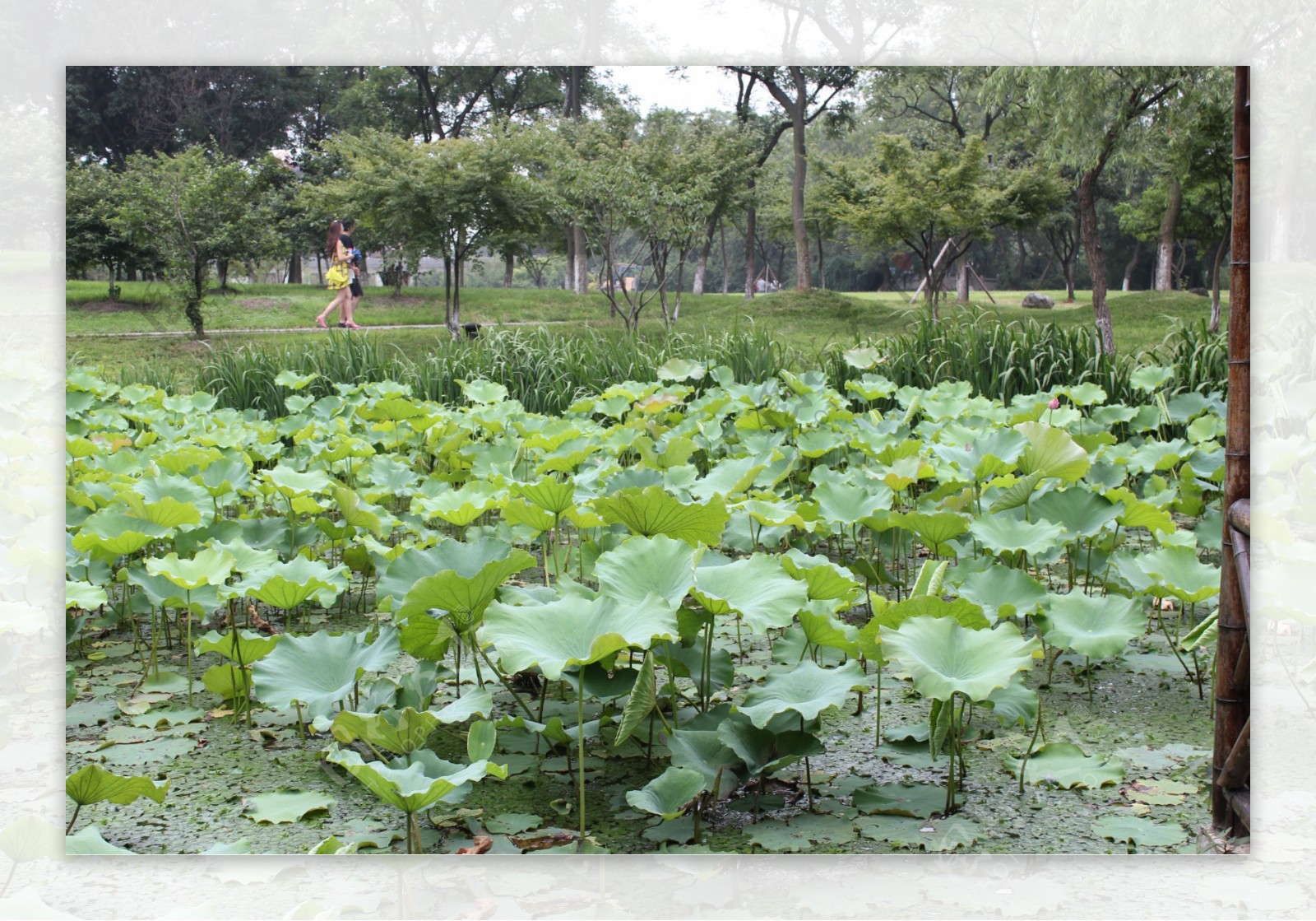 自然风景画图片