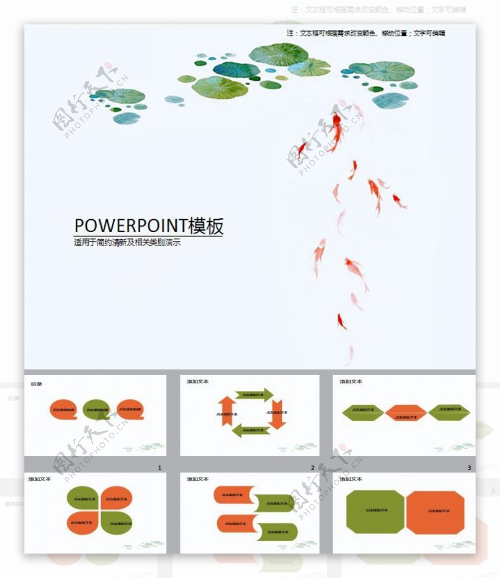 荷花金鱼ppt模板