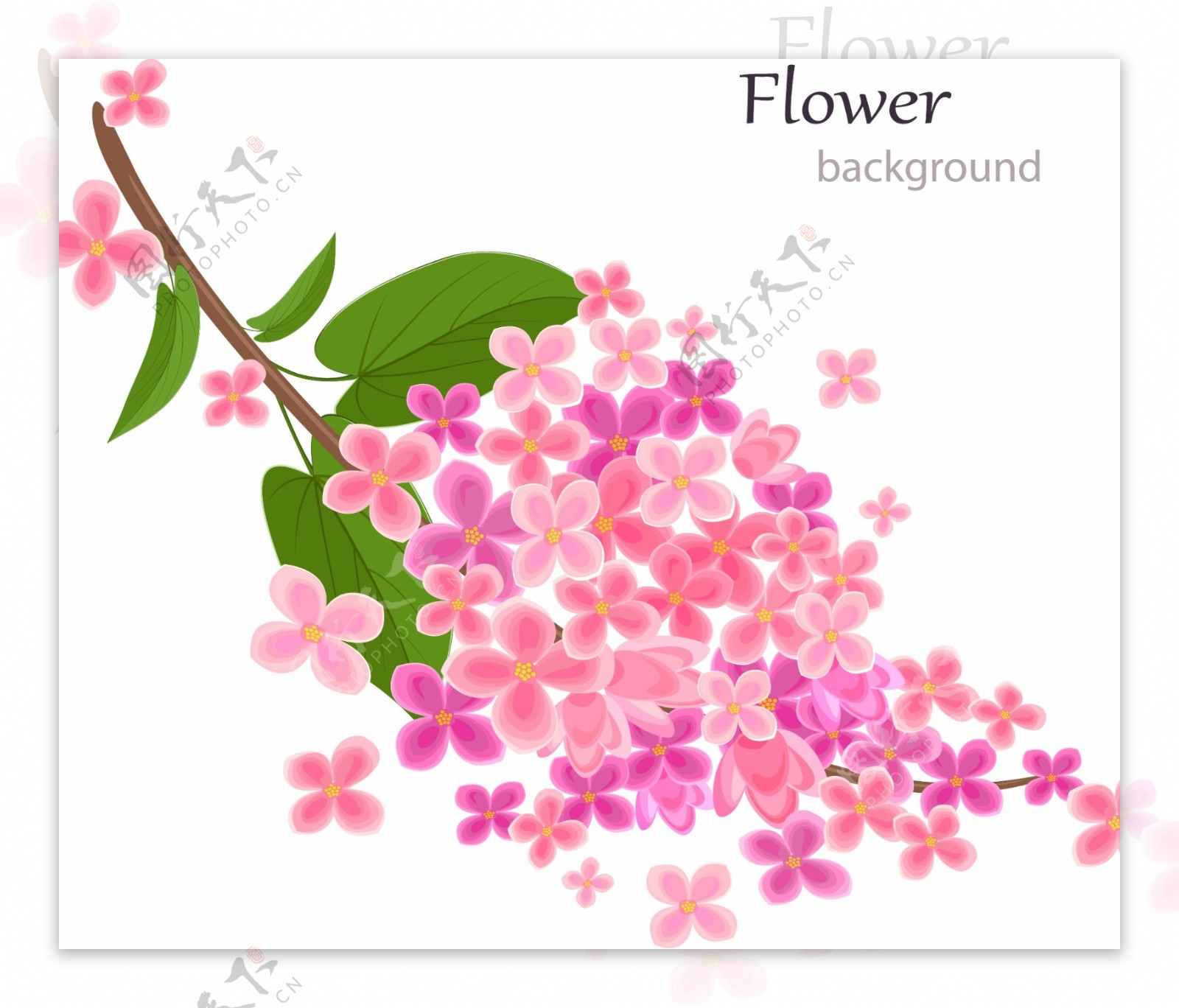 格力叶粉红色花朵背景矢量02