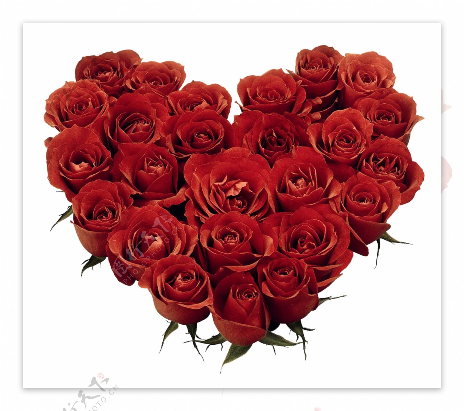 心型玫瑰花素材 心形玫瑰框 玫瑰平面广告素材免费下载(图片编号:5935687)-六图网